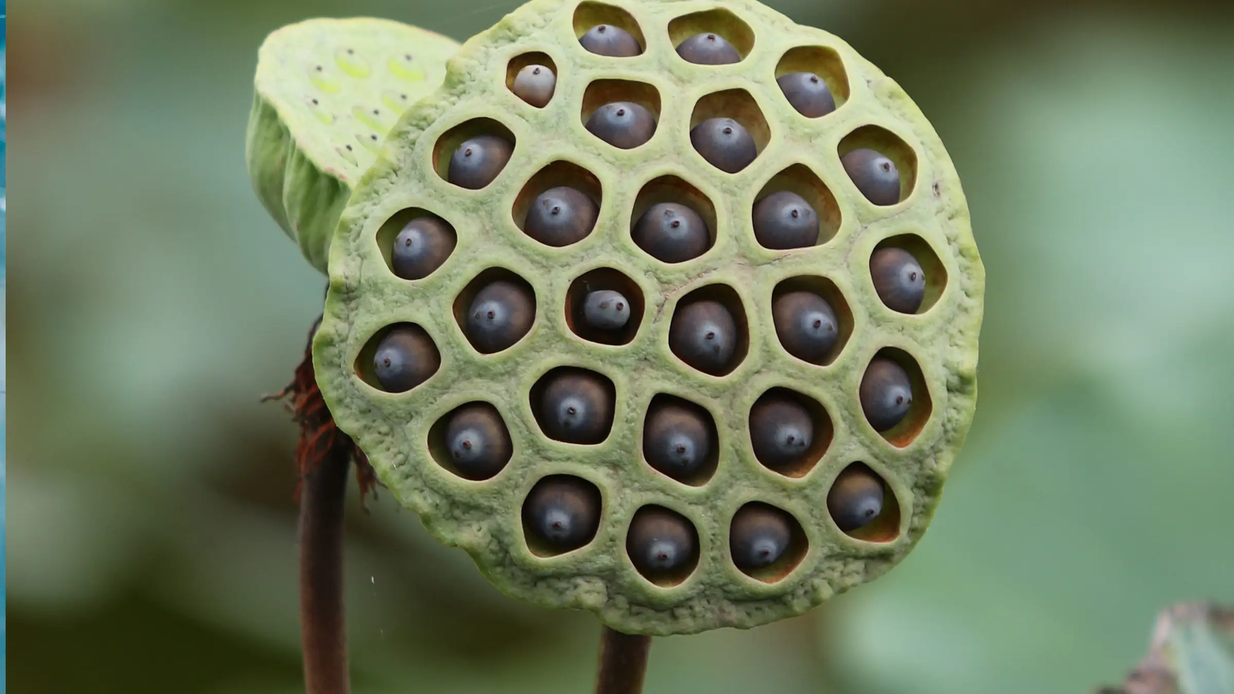 Innerlijke kracht & Balans