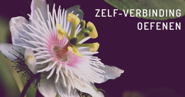 Oefenen met zelfverbinding